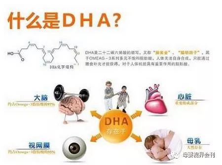 DHA补与不补，智力、视力、语言方面的差别竟这么大？