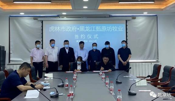 甄原坊牧业万头奶牛养殖项目落户黑龙江虎林