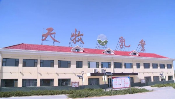 甘肃农垦天牧乳业：科技赋能奶业振兴