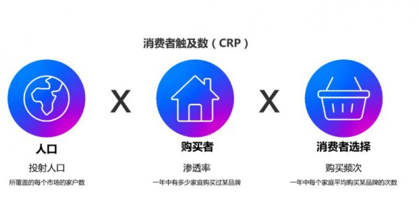 中国消费者选择最多的乳业品牌包括……