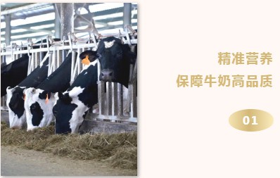 光明牧业守初心，生奶质量再升级