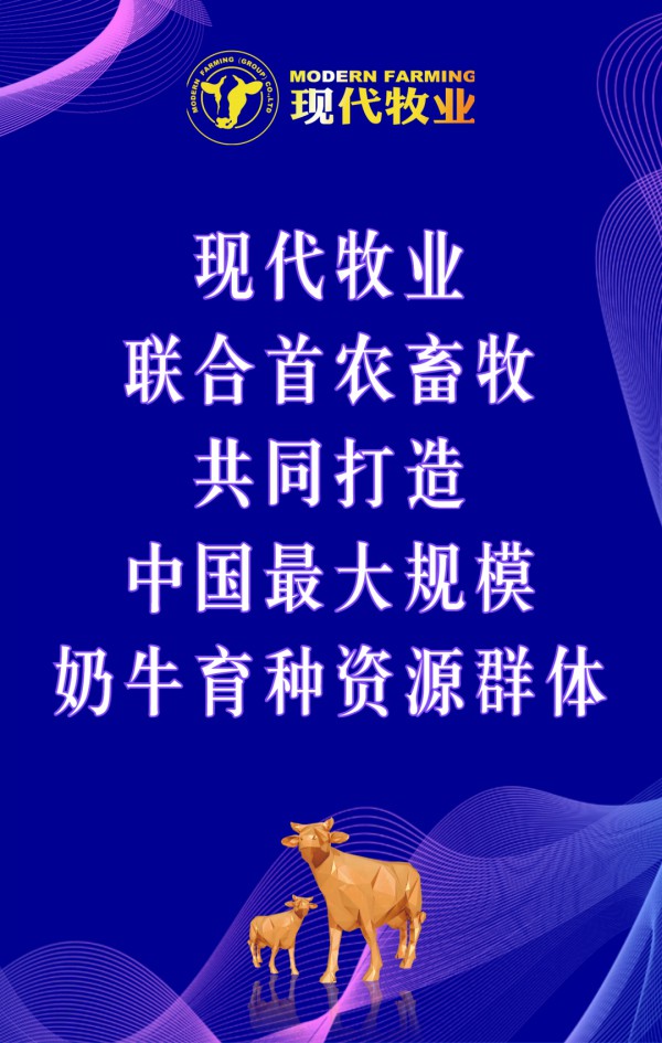 现代牧业联合首农畜牧，共同打造中国最大规模奶牛育种资源群体