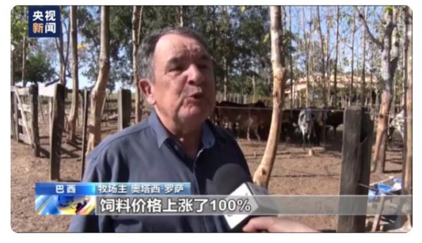 巴西多重因素带动奶价快速上涨  饲料和其他成本的上升成根源