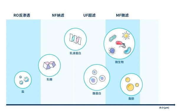 光明优倍新装“出圈”，内外兼修品质升级