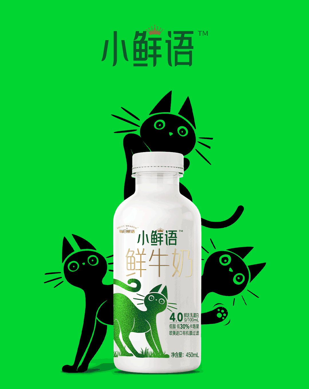 加码鲜奶业务，蒙牛每日鲜语推出了一个全新子品牌！