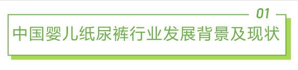 2022年中国婴儿纸尿裤消费白皮书