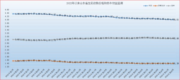 山东生乳价格持续小幅探底，同比环比“双降”