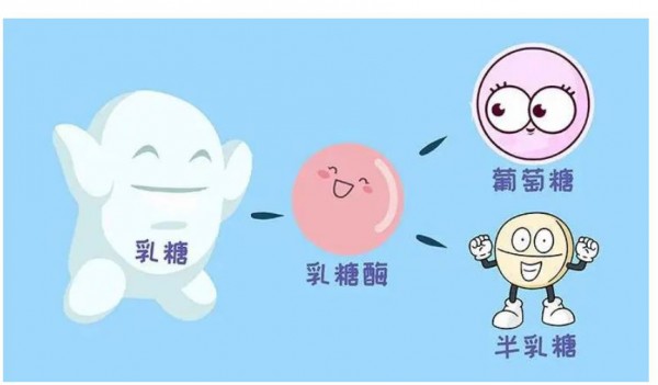 羊奶粉好处多多！这四类宝宝更建议喝，新手爸妈速看！