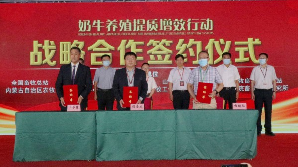 奶牛养殖提质增效行动 助力奶业振兴