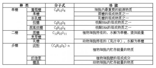 儿童棒棒糖正在打破“不健康”零食的标签