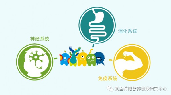 EpiCor丨“免疫特种兵”EpiCor，到底是个啥？