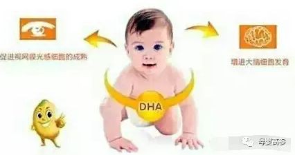 DHA什么时候补充最好？怎样补充最有效？