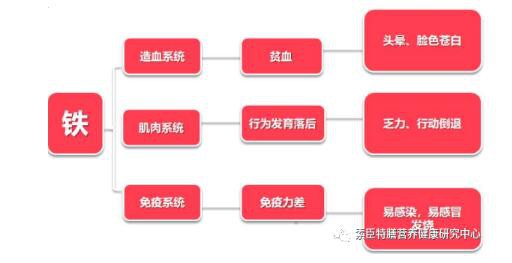补铁 = 养气血，首选甘氨酸亚铁！