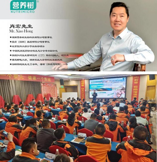 2023全国联盟商年终答谢暨转型突围动员会