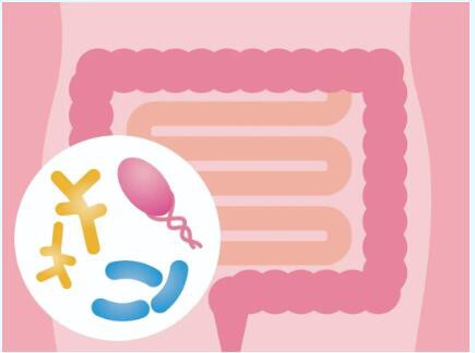 藏在海藻油中的DHA，它的作用超乎你的想象