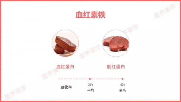 为什么说补血要补铁呢？ 血红素铁易吸收、利用率更高