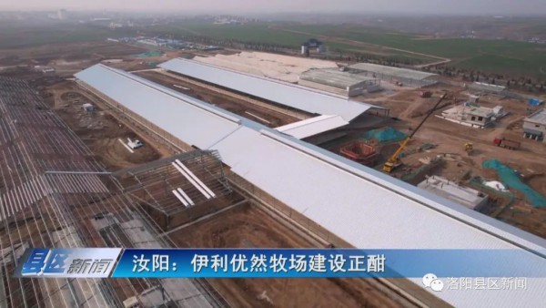 总投资2.82亿，洛阳优然牧业建设正酣