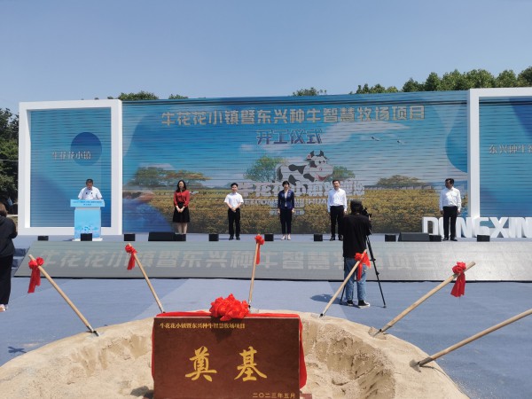 浙江嘉兴修建首个奶牛主题休闲园！