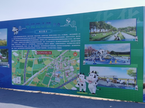 浙江嘉兴修建首个奶牛主题休闲园！