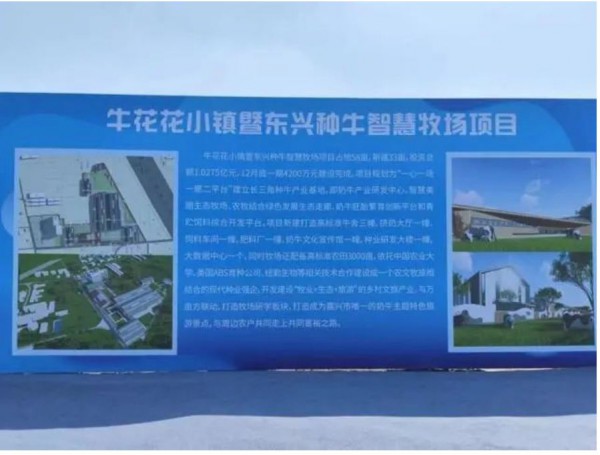 浙江嘉兴首个奶牛主题休闲园来了