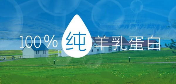 高配纯羊实力突显！四季南山领赋羊成功通过新国标二次配方注册！