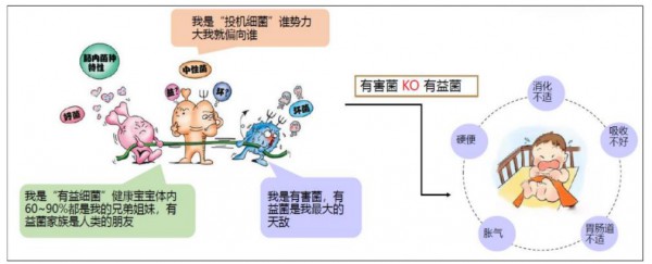 素臣婴幼儿益生菌营养包——为爱0添加（不添加乳粉、人工色素、香精、防腐剂）