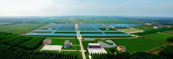 再传喜报！蒙牛入选国家首批农业高质量发展标准化示范基地创建单位