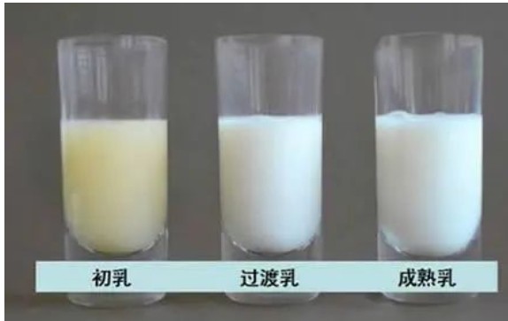 为什么吃母乳的宝宝半夜频繁醒来？喝奶粉的宝宝却不是，帮你支招