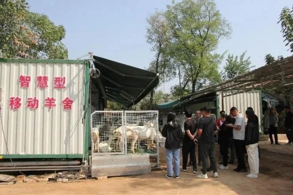 一只奶山羊，串联起一条产值25亿元的全产业链条！