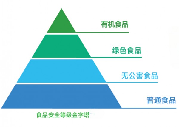 贝拉米官宣有机大使年糕妈妈，携手向世界推广有机喂养