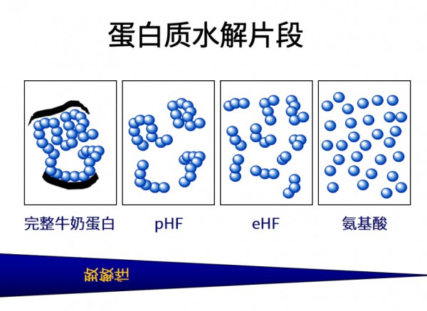 酶在婴幼儿蛋白过敏上的应用