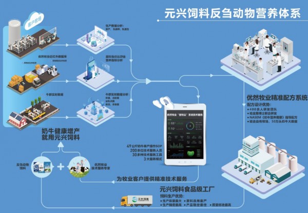 优然牧业：如何用数智化转型引领行业创新？