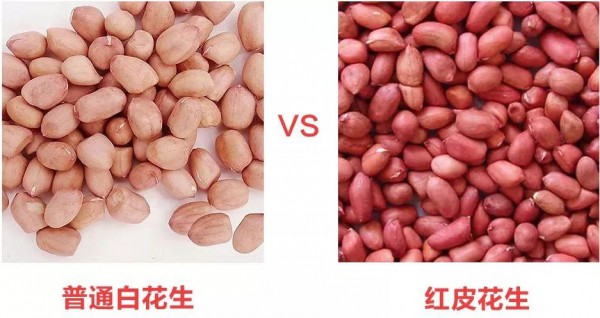补血下奶五红汤，哺乳妈妈必备！