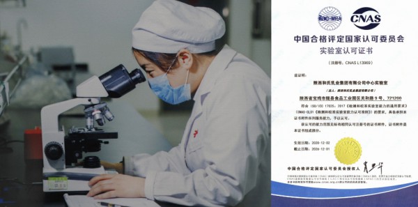 响应国家新政，和氏三大抓手再迎利好，打造婴幼儿配方乳粉新典范