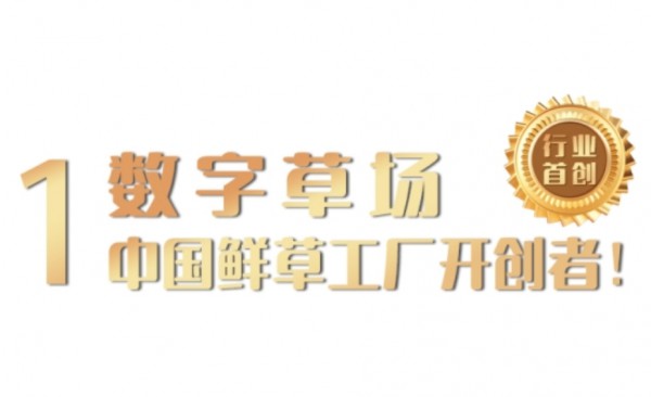 八年磨一剑！盛健羊乳成为“中国羊乳全产业链第一品牌”