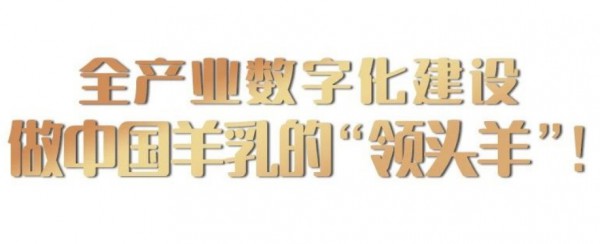 八年磨一剑！盛健羊乳成为“中国羊乳全产业链第一品牌”