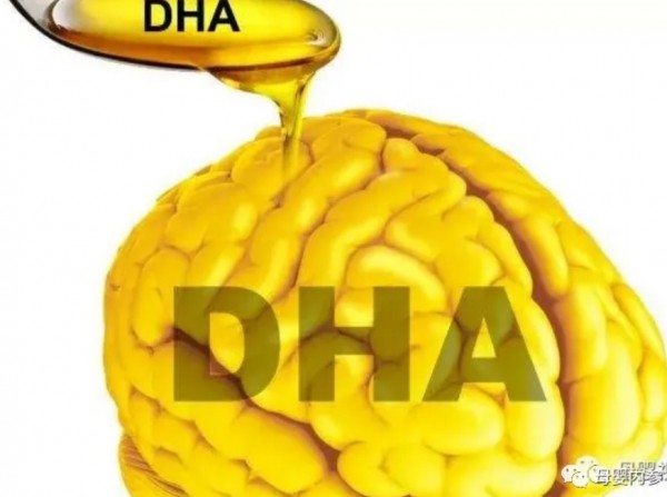 DHA 花再多的钱也要补！看了这篇就知道为什么了！