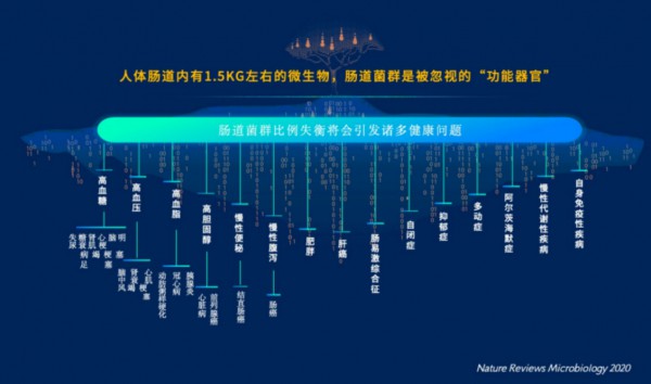 浙江省农科院功能食品与精准营养研究室主任李进军：以领先肠道仿生技术探索精准营养奥秘