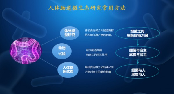 浙江省农科院功能食品与精准营养研究室主任李进军：以领先肠道仿生技术探索精准营养奥秘