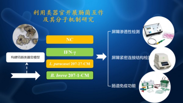 浙江省农科院功能食品与精准营养研究室主任李进军：以领先肠道仿生技术探索精准营养奥秘