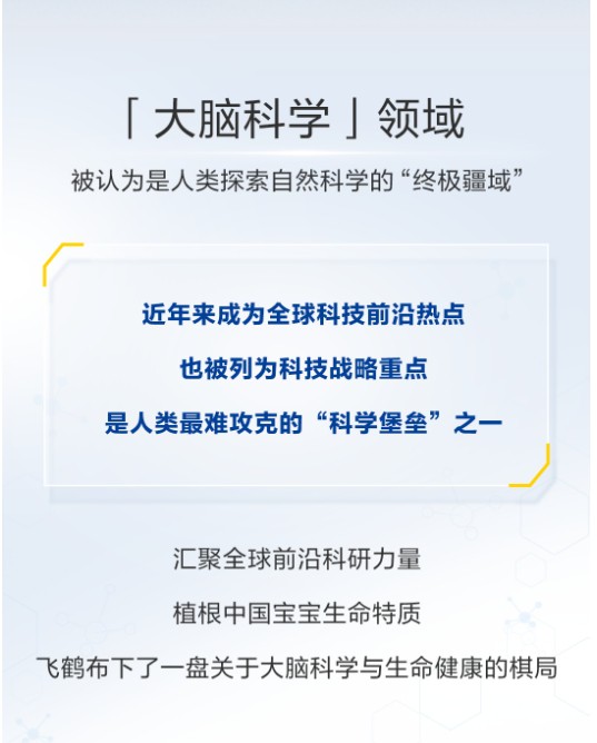 飞鹤点亮大脑科学，产学研共筑聪明宝宝成长新篇章