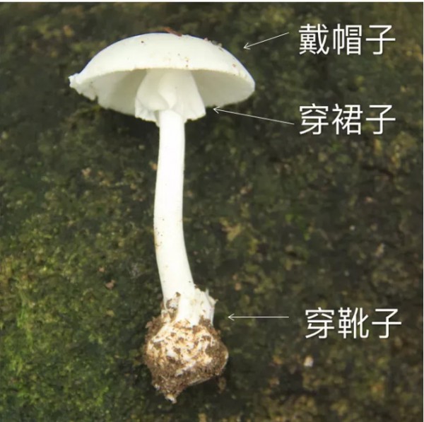 三岁女童被活活喂成痛风，关节严重畸形！这些食物再也别给孩子吃了！