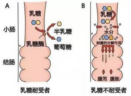 宝宝若经常出现这3种症状，说明乳糖不耐受了！应对方法在这里！