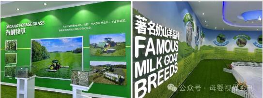 行业标杆 实力彰显|和氏乳业荣获重量级荣誉及省级领导关怀