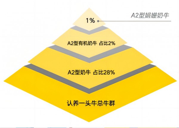 精耕A2型乳制品赛道，认养一头牛发布旗舰款新品！