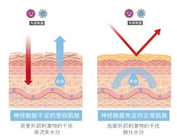 母婴功能洗护“最吸客”单品，初敏神经酰胺舒缓乳，强势引流新增长！