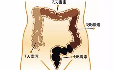 积食带给孩子的危害，远不只是影响食欲，还会造成舌苔剥落、贫血、荨麻疹等一系列问题！