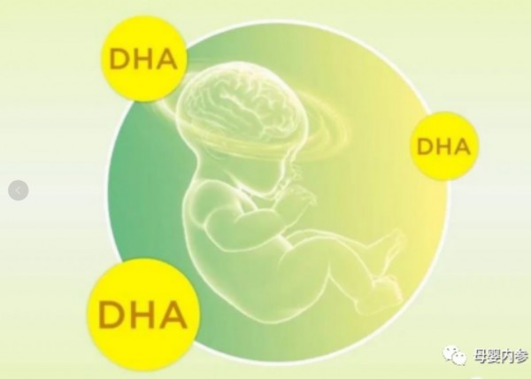 DHA对孩子智力发育很重要！0-6岁是关键期，越早补充效果越好！