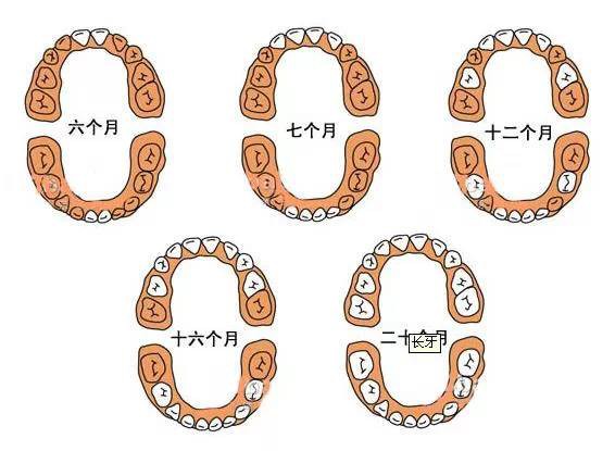 宝宝出牙的征兆、时间、顺序以及如何护理