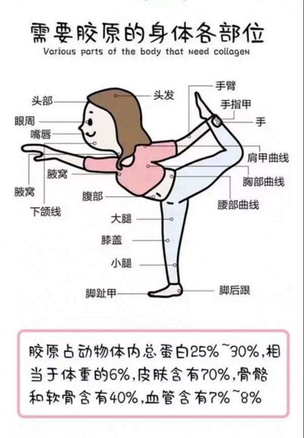 恋人颜®胶原蛋白小肽OCO饮